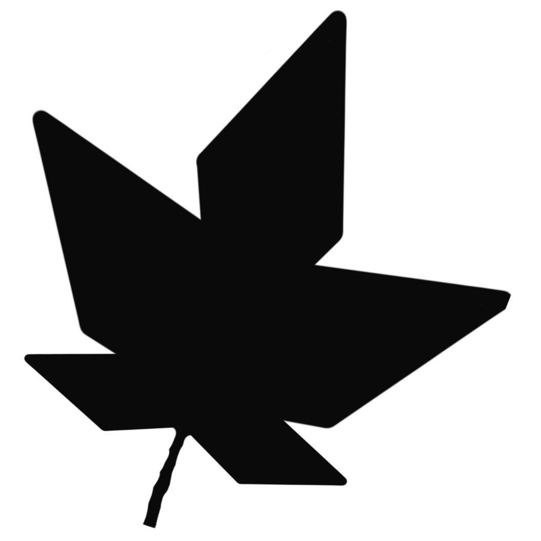 A maple leaf